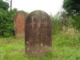 image of grave number 224478